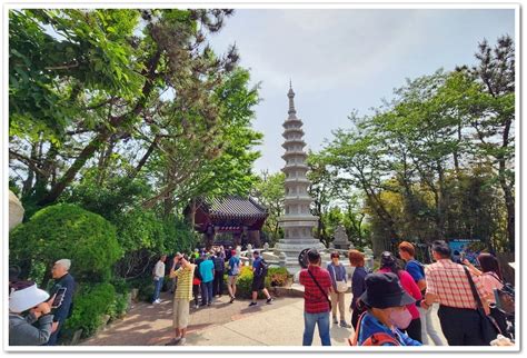 神仙事業由前定 行向東來更向南|大天后宮專題研究網